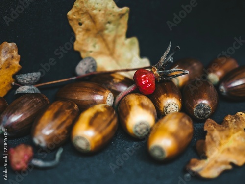 Different size leaves of autumn oak leafs   acorns and berries of wild rose isolated on black  background.