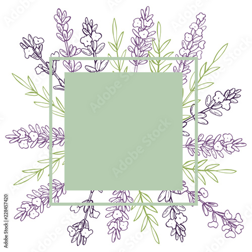 Fototapeta Naklejka Na Ścianę i Meble -  Vector frame with hand drawn  lavender.Sketch  illustration.