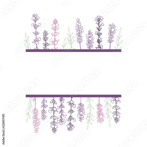 Fototapeta Naklejka Na Ścianę i Meble -  Vector frame with hand drawn  lavender.Sketch  illustration.