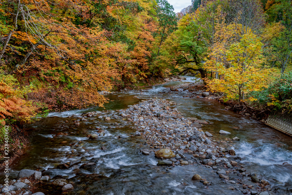 Small river with beautiful autumn season in Akita, Japan.