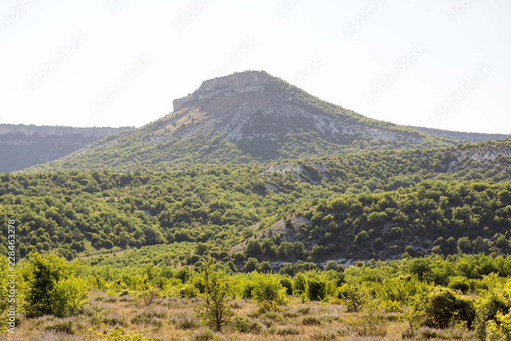 Low mountains surrounded by green bushes