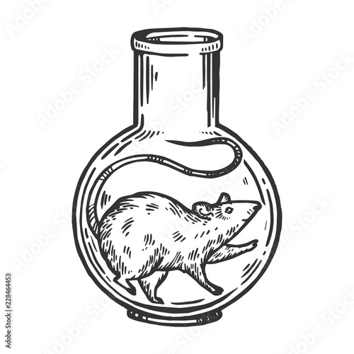 Rat mouse animal in laboratory glass flask engraving vector illustration. Scratch board style imitation. Black and white hand drawn image.