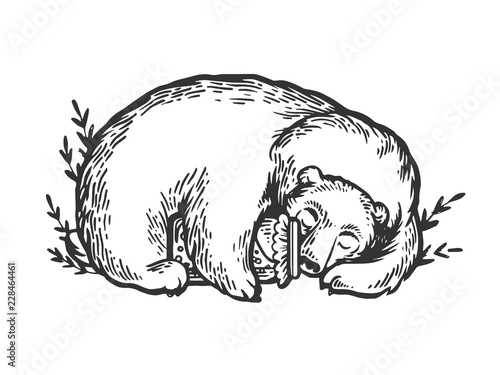 Sleeping bear hugging jar of honey engraving vector illustration. Scratch board style imitation. Black and white hand drawn image.