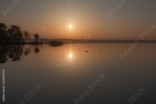 three ducks in autumn sunset and light haze over quiet water