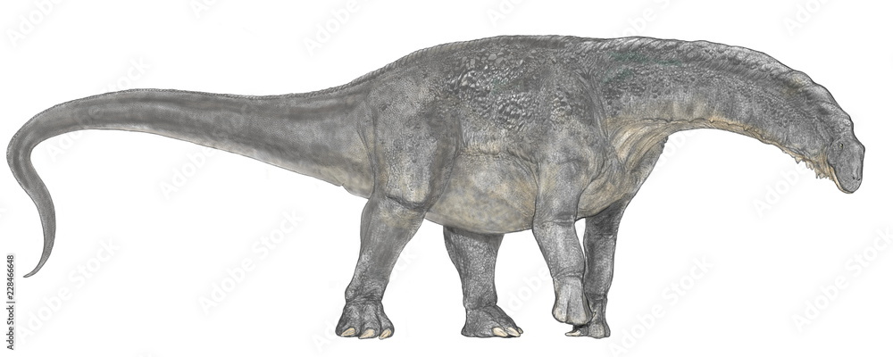 現在はティタノサウルス類のイシサウルスという名称に改まっている 竜脚類である