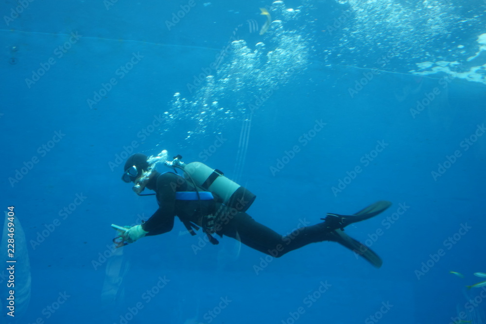 ダイバー、水族館