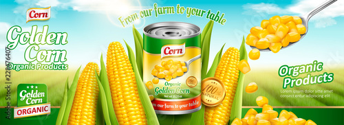 Organic canned corn banner ads