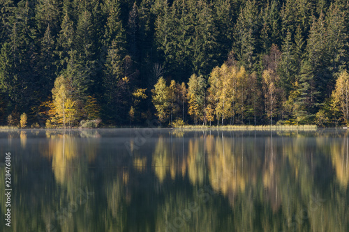Autumn landscape of the colorful forest, at the mountain lake edge, with beautiful reflexions
