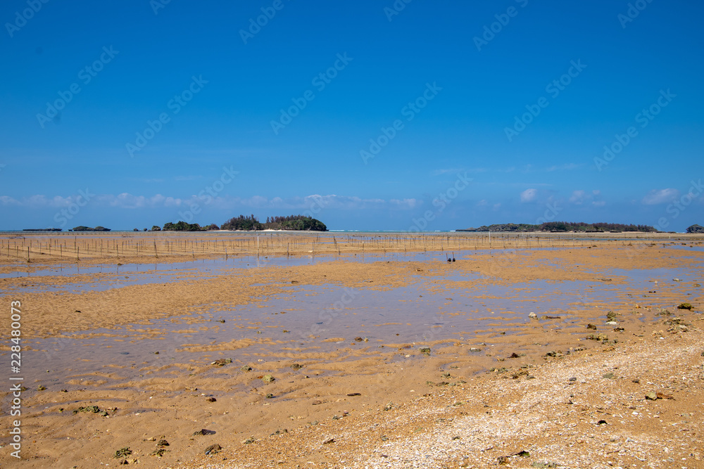 沖縄の海