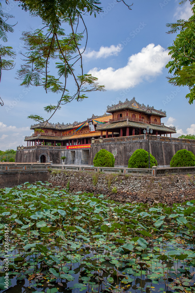 Obraz premium フエ