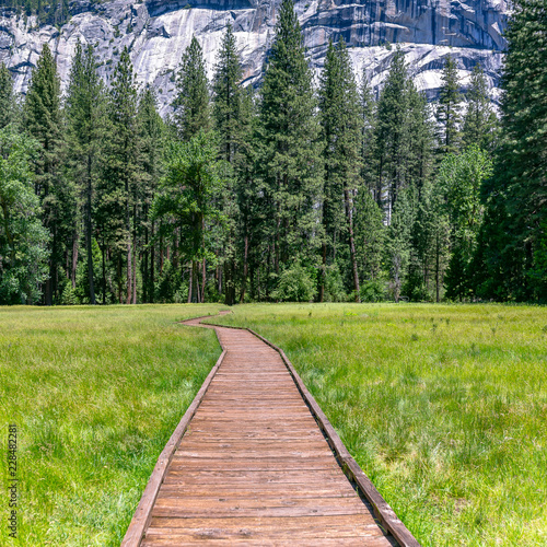 Wooden path on a grassy terrain in Yosemite CA