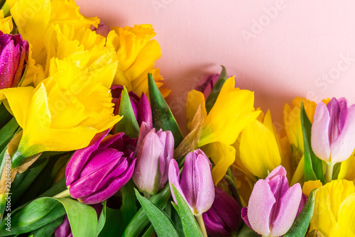 Beautiful Bunch of Tulips and yellow Daffodils on the Pink Backg