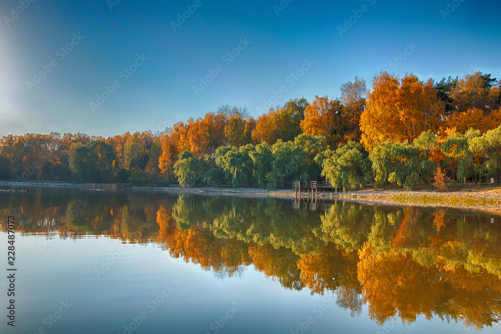 Panorama of a beautiful golden autumn forest with a lake in sunny weather with bright blue sky