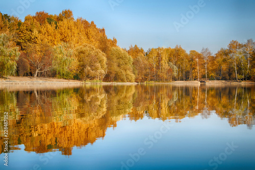 Panorama of a beautiful golden autumn forest with a lake in sunny weather with bright blue sky © blackguitar1