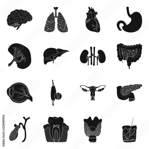 Vector design of body and human logo. Set of body and medical stock symbol for web.