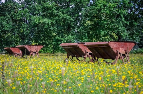 Old train wagons in Nature, the Netherlands