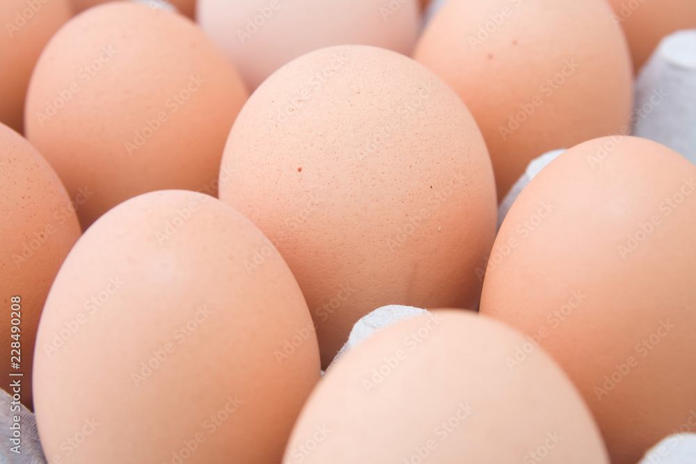 eggs