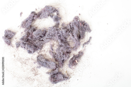 Dust from vacuum cleaner , high angle macro view