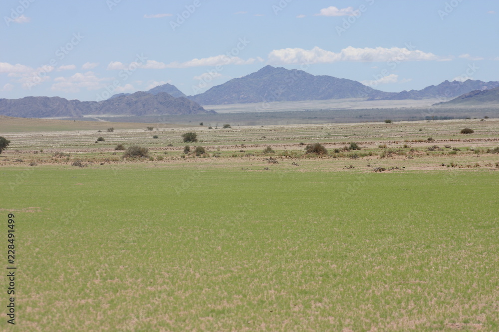 Fototapeta premium Berge 7