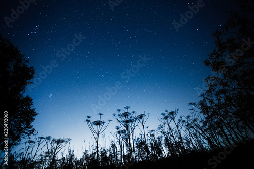 Fototapeta Blue dark night sky with many stars