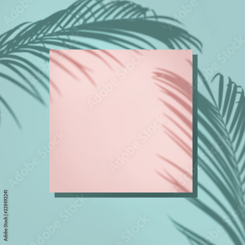 Creative layout made of colorful tropical leaves on white background. Minimal summer composition. Exotic concept with copy space. Border arrangement. photo