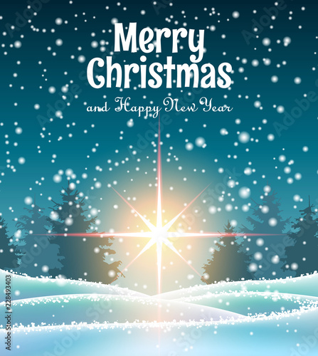 Christmas theme, winter forest with big star