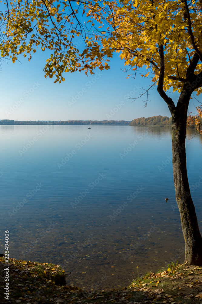 Obraz premium Lake and golden trees on blue sky background