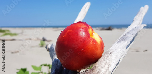Nectarine with drops on the background of the beach and the sea