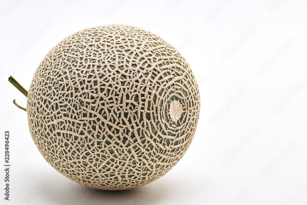 Single cantaloupe melon on white Single cantaloupe melon on white