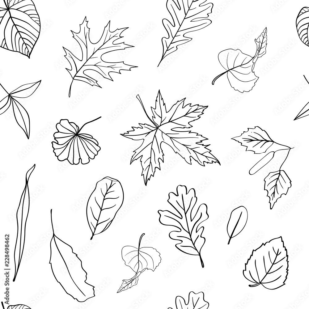 Autumn Leaves Black And White
