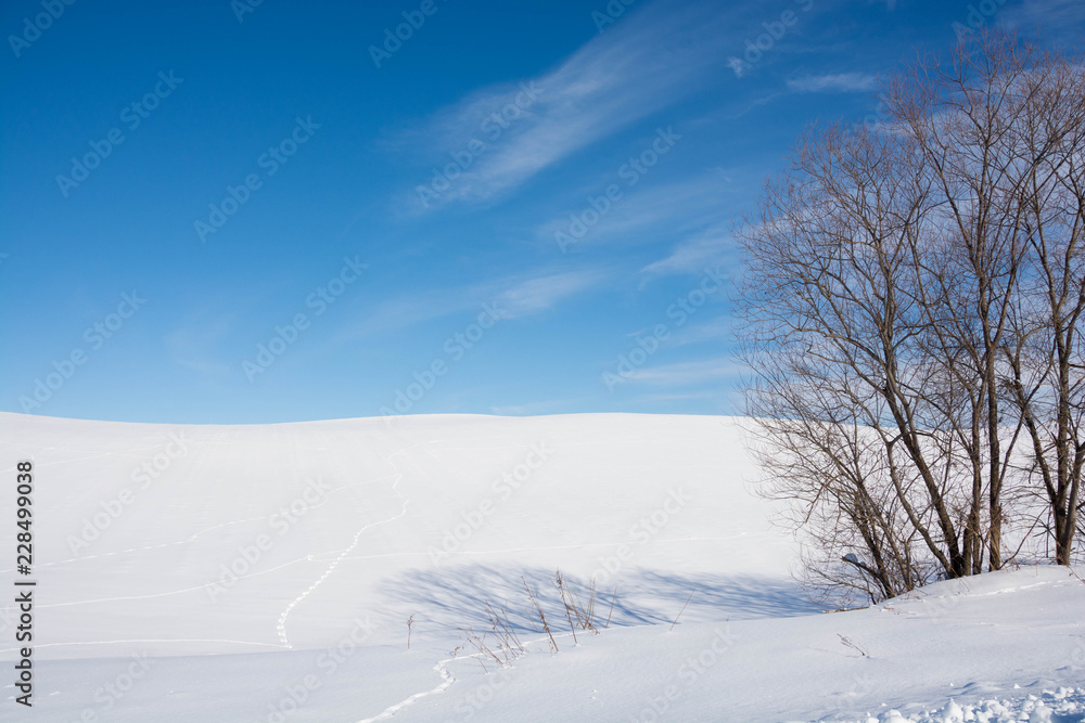 冬の青空と雪の丘