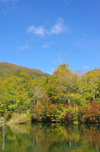 秋の雨飾高原（鎌池）