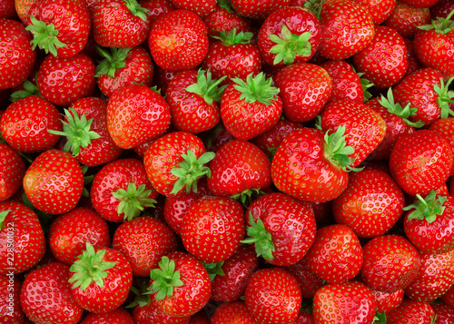 Strawberries background. Strawberry. Red background.