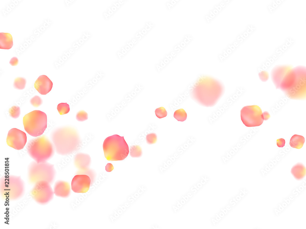 Rose gold petals flying cosmetics background.