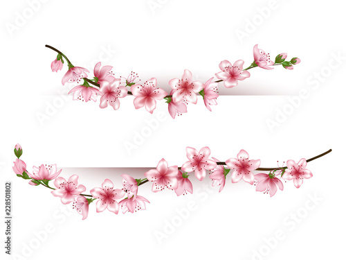 Flower branches vector frame for text. Decorative border for greeting card, invitation, banner. Realistic tree blossom  illustration on white background. Floral graphic design.