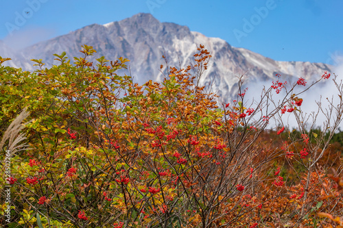 長野県八方尾根の秋