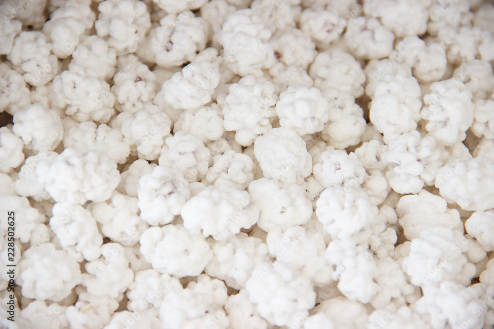 Candied peanuts background. peanuts in caramel sugar icing white texture Candied peanuts background. peanuts in caramel sugar icing white texture