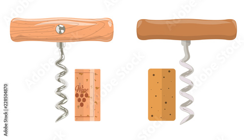Corkscrew and cork
