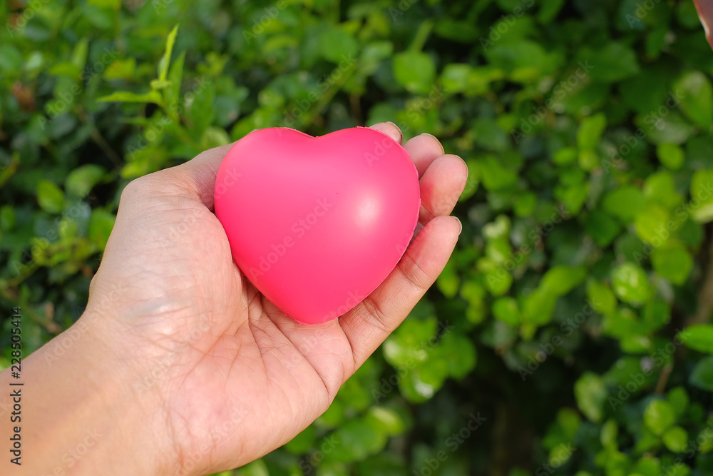 Man holding Red heart on green leave Man holding Red heart on green leave