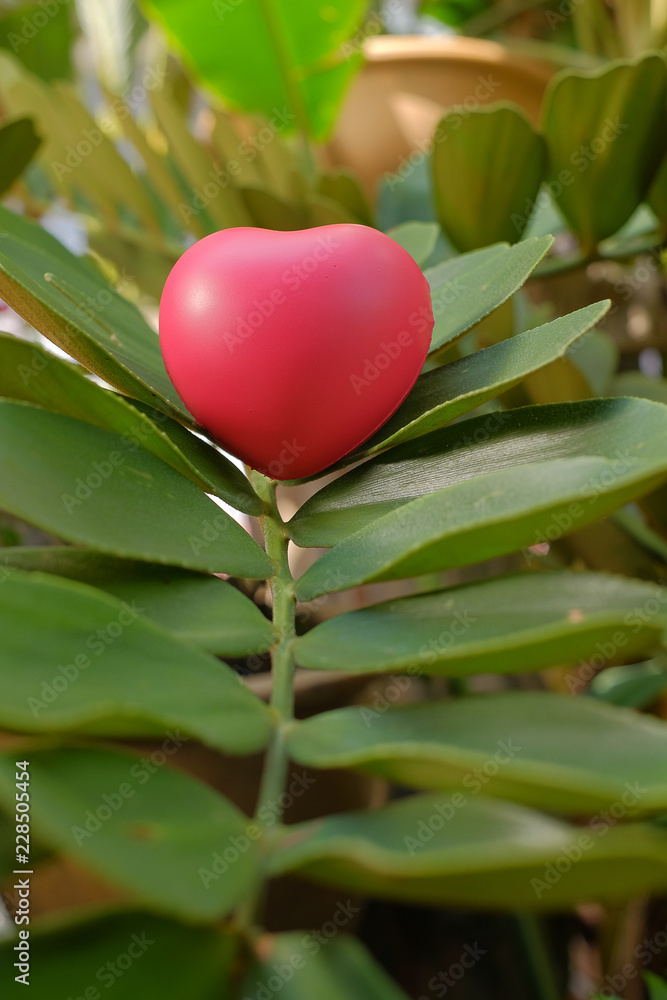 Red heart on green leave Red heart on green leave