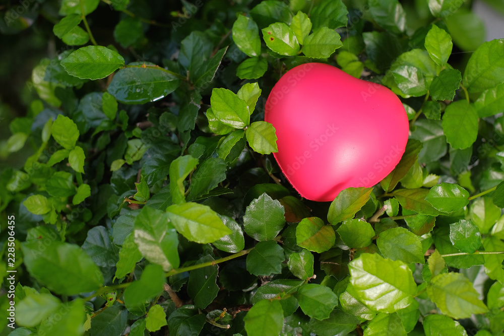 Red heart on green leave Red heart on green leave