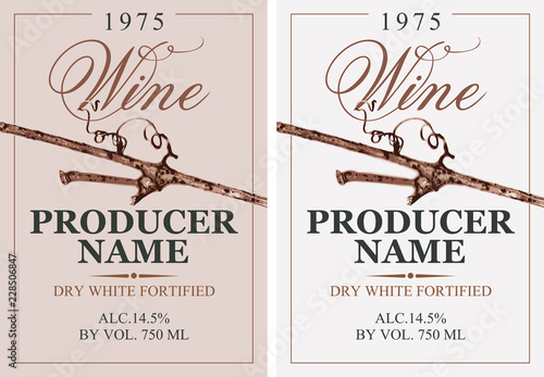 Set of two vector wine labels with grapevine and calligraphic inscription in retro style. Dry white fortified