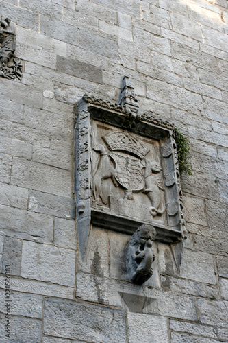 The medieval stone relief with the fantastic animals, the dog and the dragon, and the emblem on the stone wall of the medieval building. 