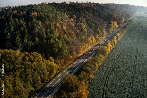 Long straight road by the woods