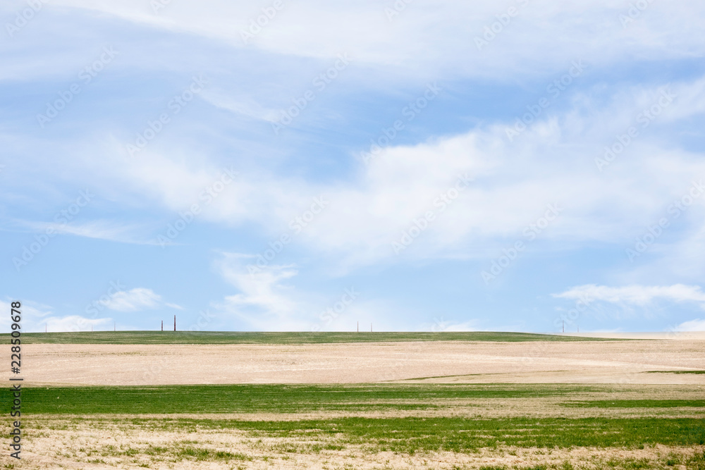 LANDSCAPE OF AGRICULTURE FIELD WITH NICE BLUE SKY AND HIGH VOLTAGE POWER TOWER IN FAR BACKGROUND
