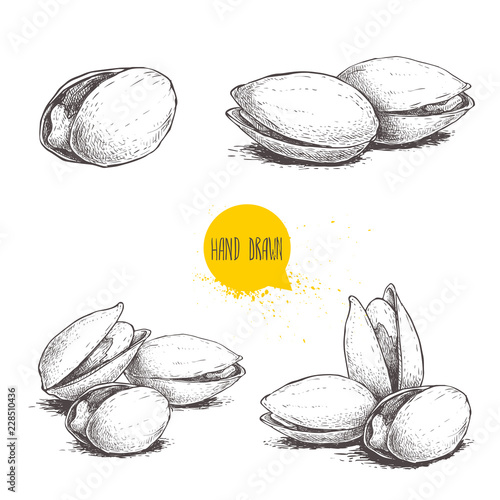  Hand drawn pistachios set. Open and fried fresh organic food. Singles and group. Nuts vector illustrations isolated on white background.