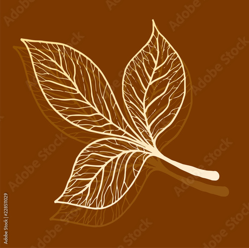 Autumn leaves in a branch on a brown background. Flat design autumn leaf idea...