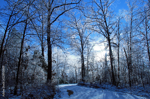 Icy Wintertime Scene