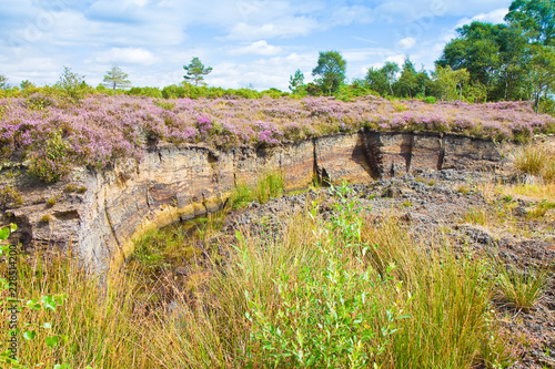 Irish peat bog landscape - (Ireland - Europe)