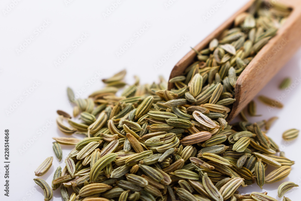 essential oil of fennel seeds on a white background essential oil of fennel seeds on a white background